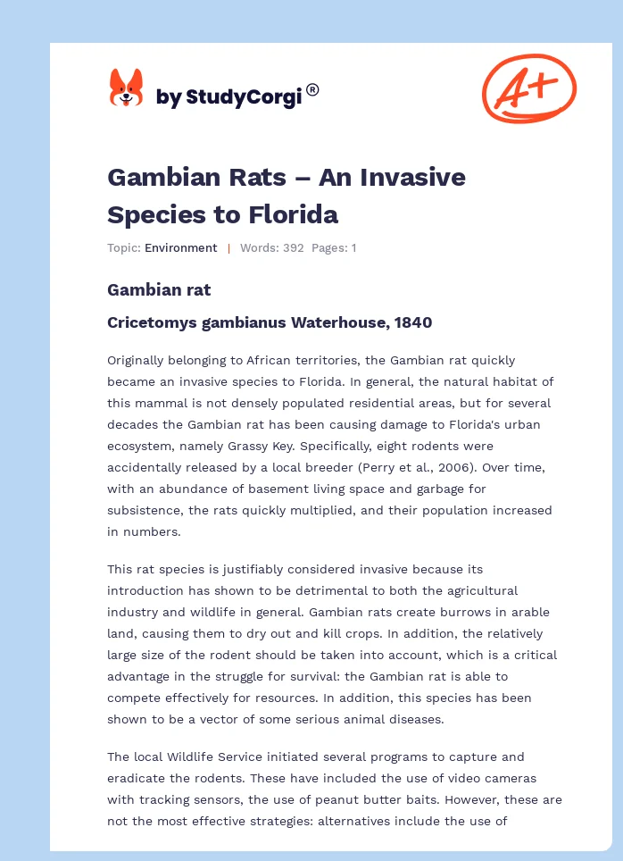 Gambian Rats – An Invasive Species to Florida. Page 1