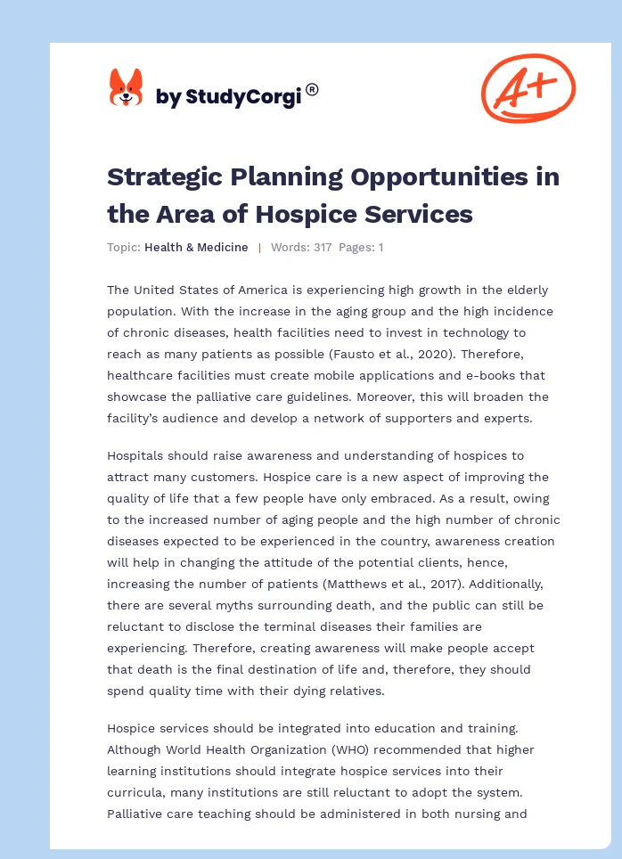 Strategic Planning Opportunities in the Area of Hospice Services. Page 1