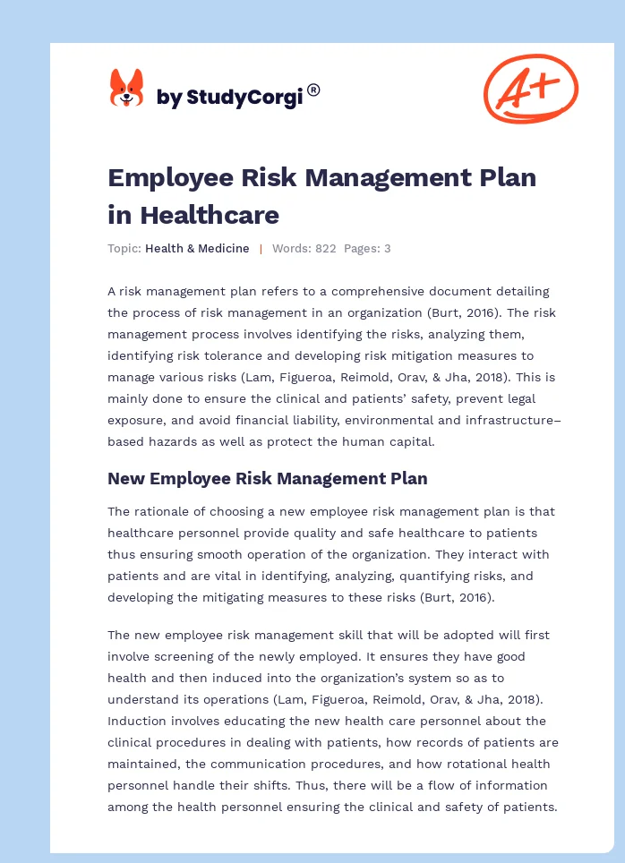 Employee Risk Management Plan in Healthcare. Page 1