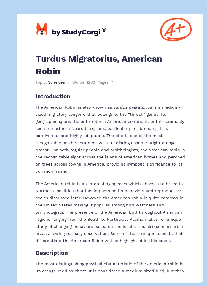 Turdus Migratorius, American Robin. Page 1