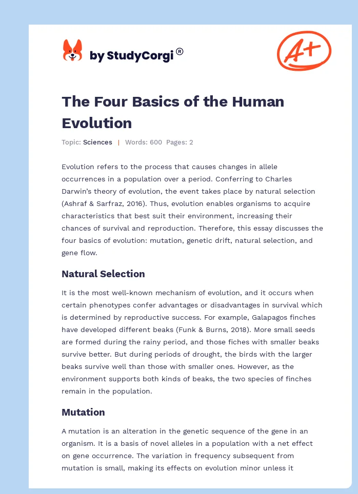The Four Basics of the Human Evolution. Page 1