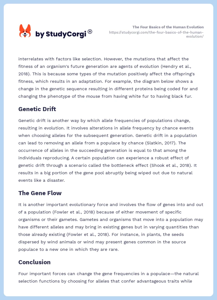 The Four Basics of the Human Evolution. Page 2