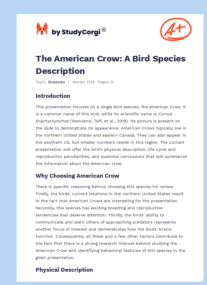 The American Crow: A Bird Species Description. Page 1