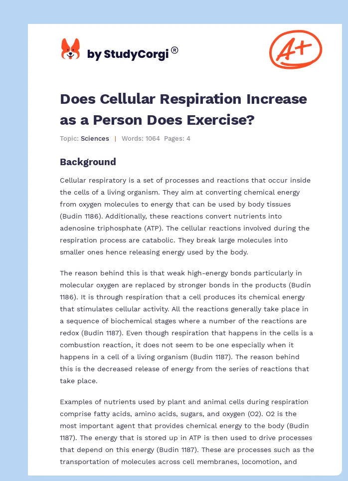 Does Cellular Respiration Increase as a Person Does Exercise?. Page 1