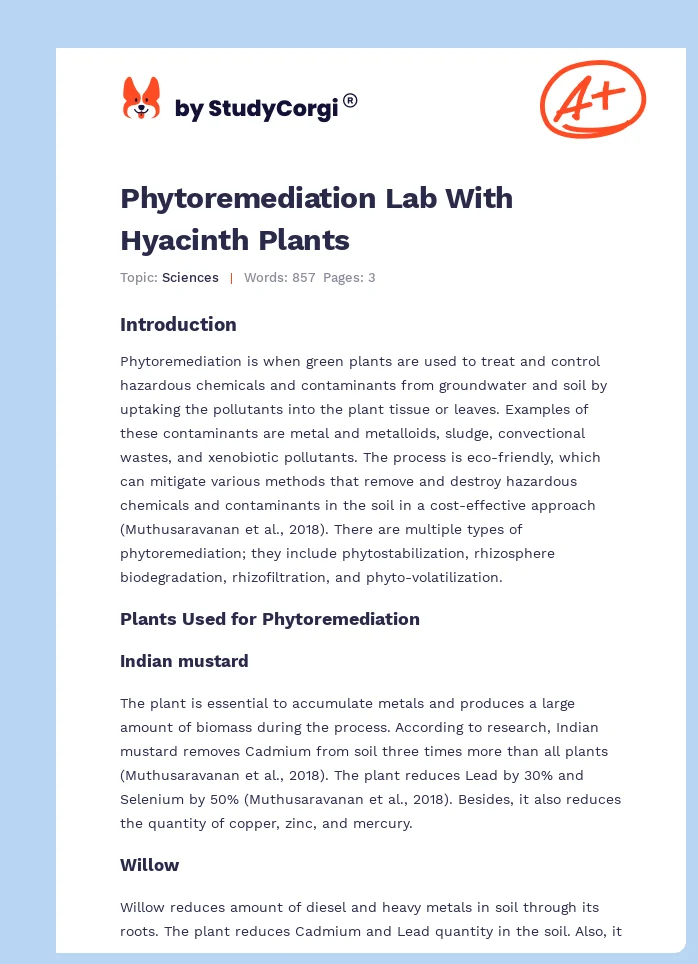 Phytoremediation Lab With Hyacinth Plants. Page 1