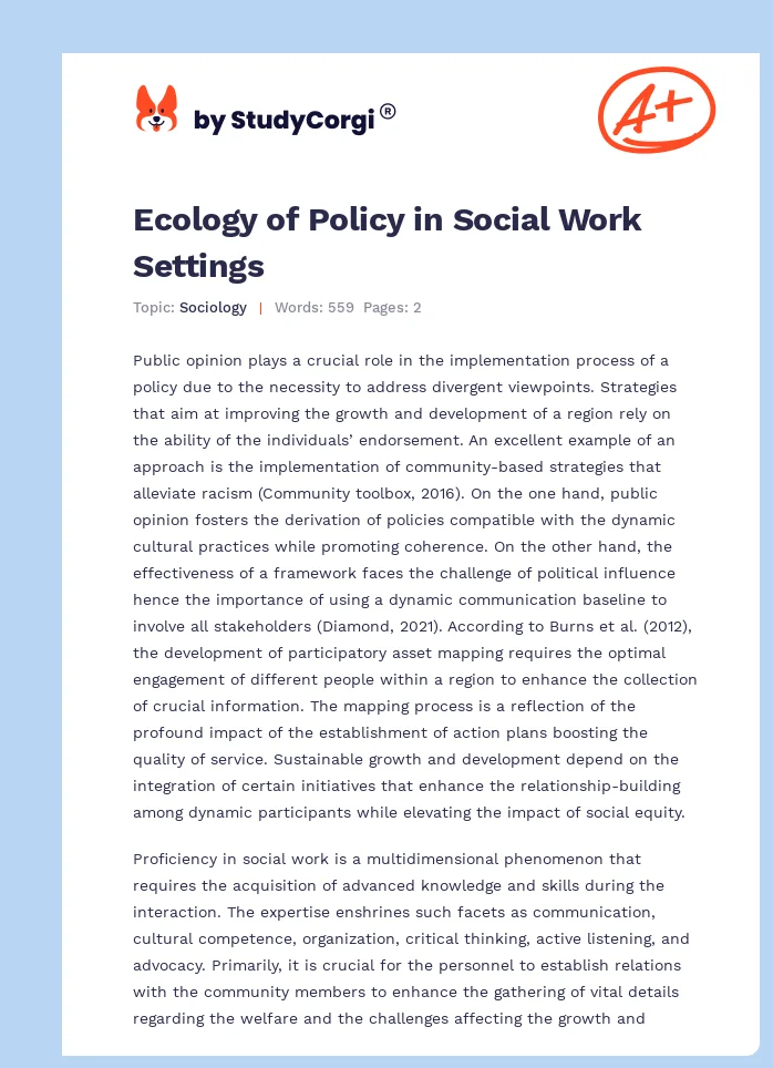 Ecology of Policy in Social Work Settings. Page 1