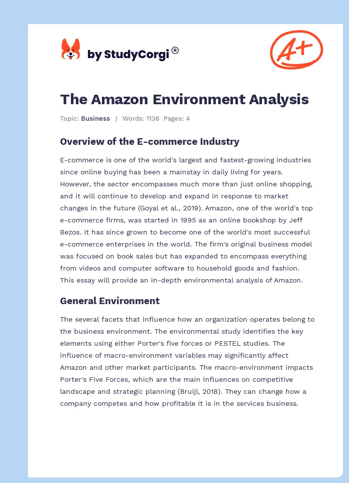 The Amazon Environment Analysis. Page 1