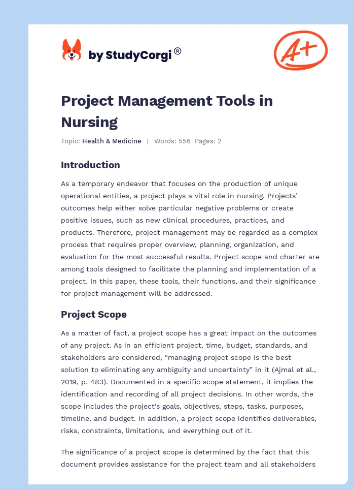 Project Management Tools in Nursing. Page 1