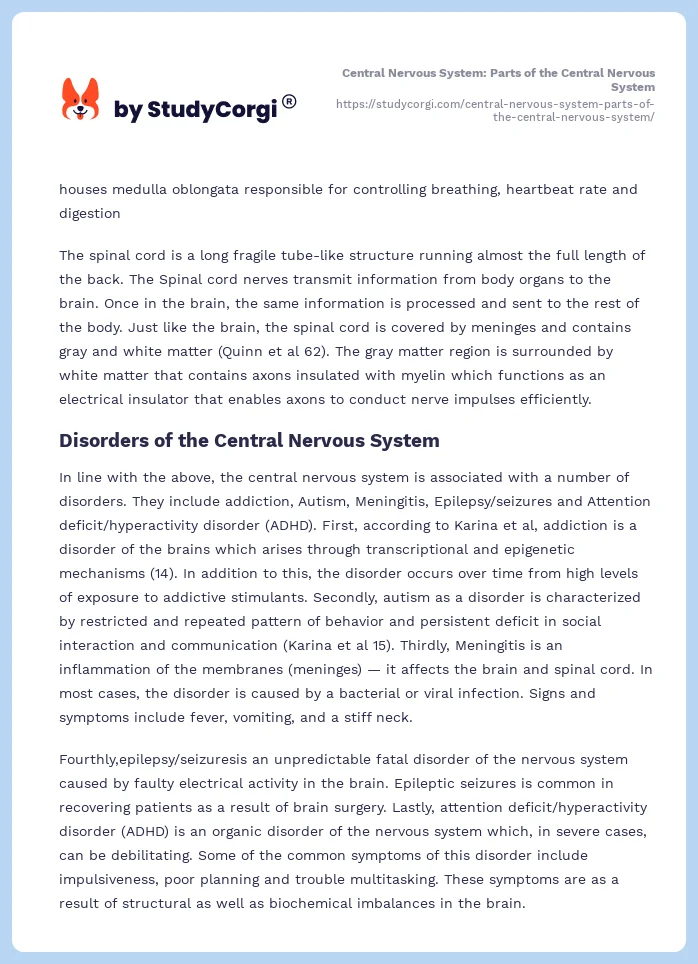 Central Nervous System: Parts of the Central Nervous System. Page 2
