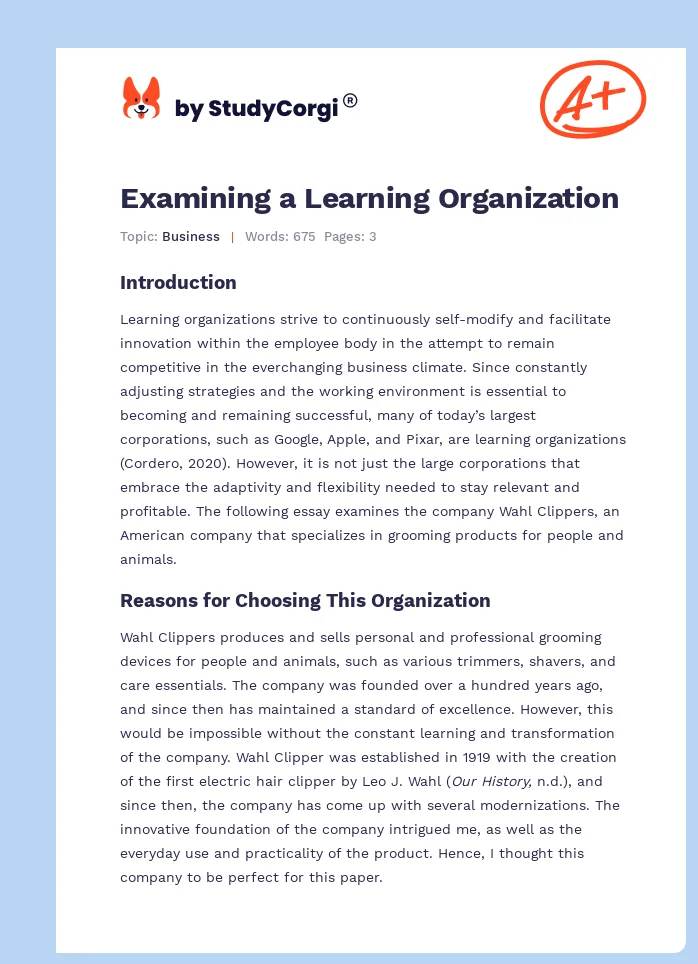 Examining a Learning Organization. Page 1