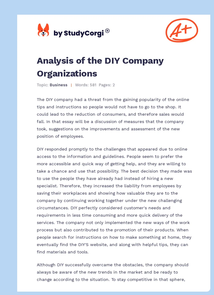 Analysis of the DIY Company Organizations. Page 1