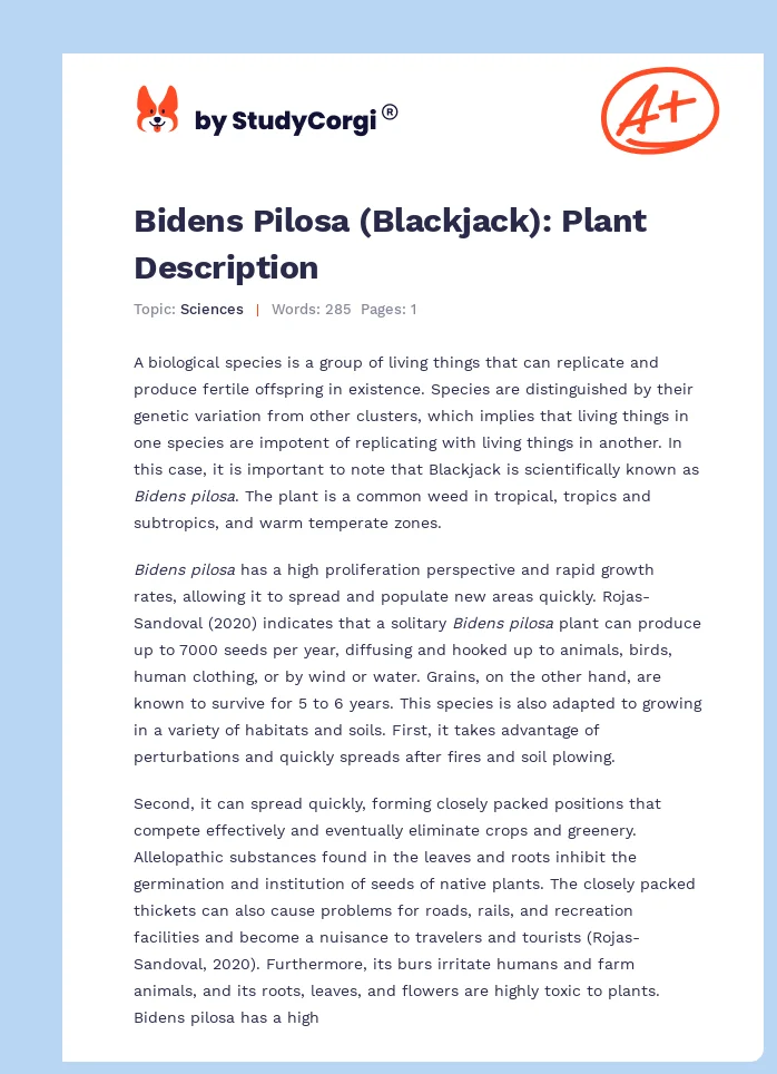 Bidens Pilosa (Blackjack): Plant Description. Page 1
