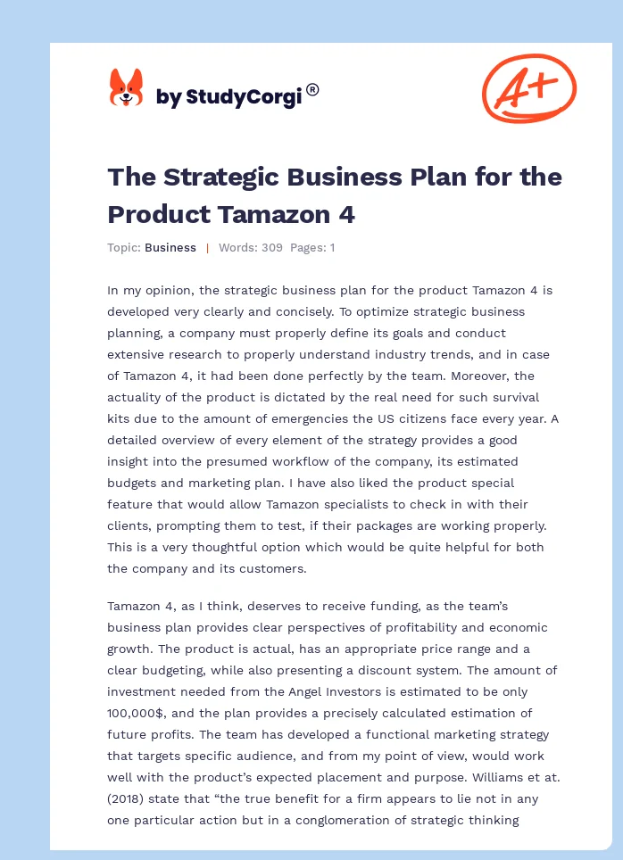 The Strategic Business Plan for the Product Tamazon 4. Page 1