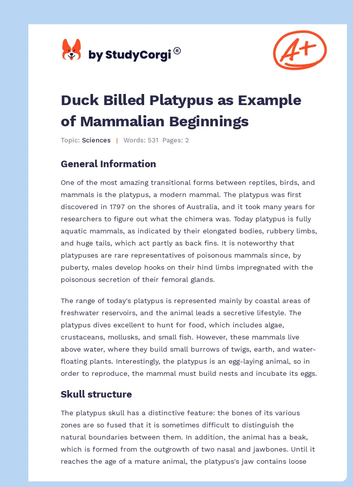 Duck Billed Platypus as Example of Mammalian Beginnings. Page 1