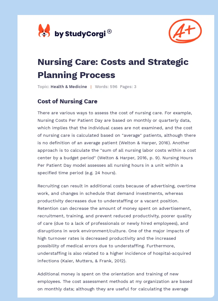 Nursing Care: Costs and Strategic Planning Process. Page 1