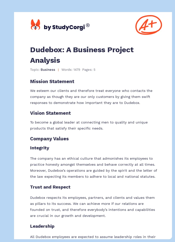 Dudebox: A Business Project Analysis. Page 1