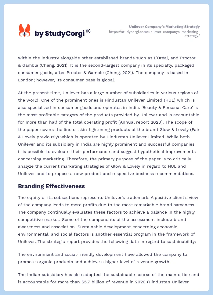 Unilever Company’s Marketing Strategy. Page 2