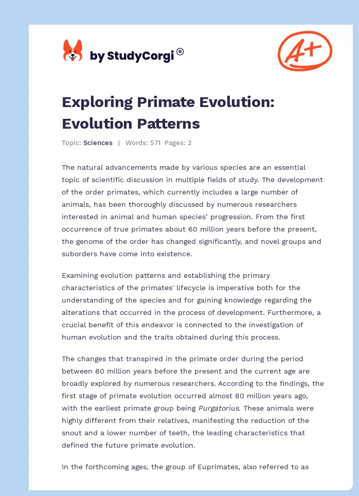 Exploring Primate Evolution: Evolution Patterns. Page 1