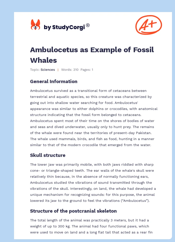 Ambulocetus as Example of Fossil Whales. Page 1