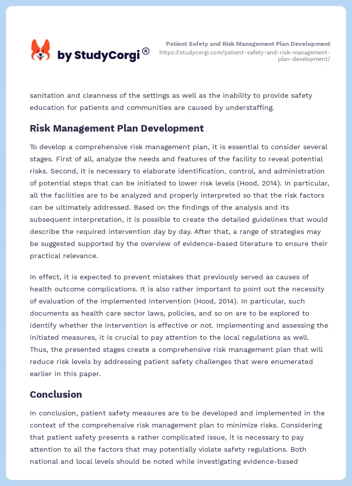 Patient Safety and Risk Management Plan Development. Page 2