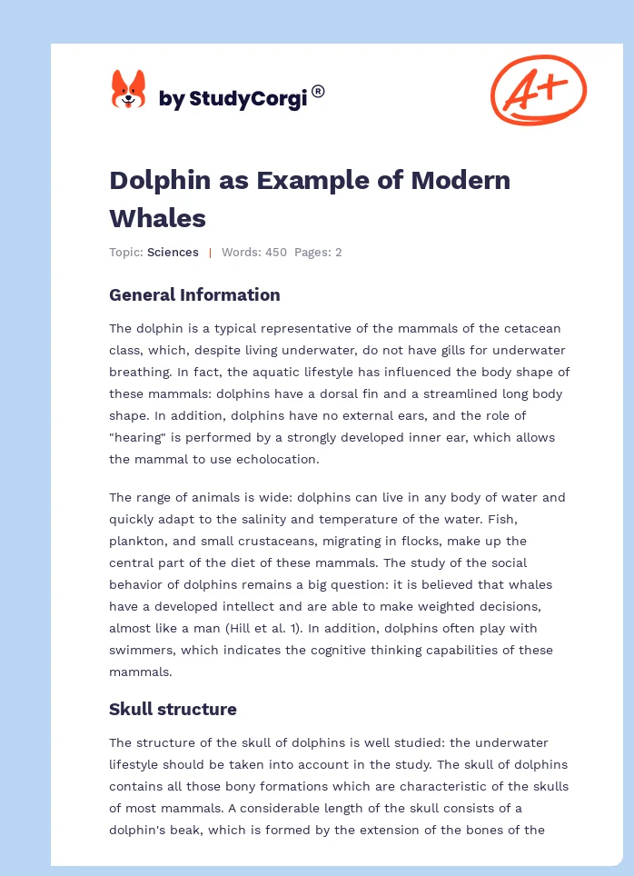 Dolphin as Example of Modern Whales. Page 1