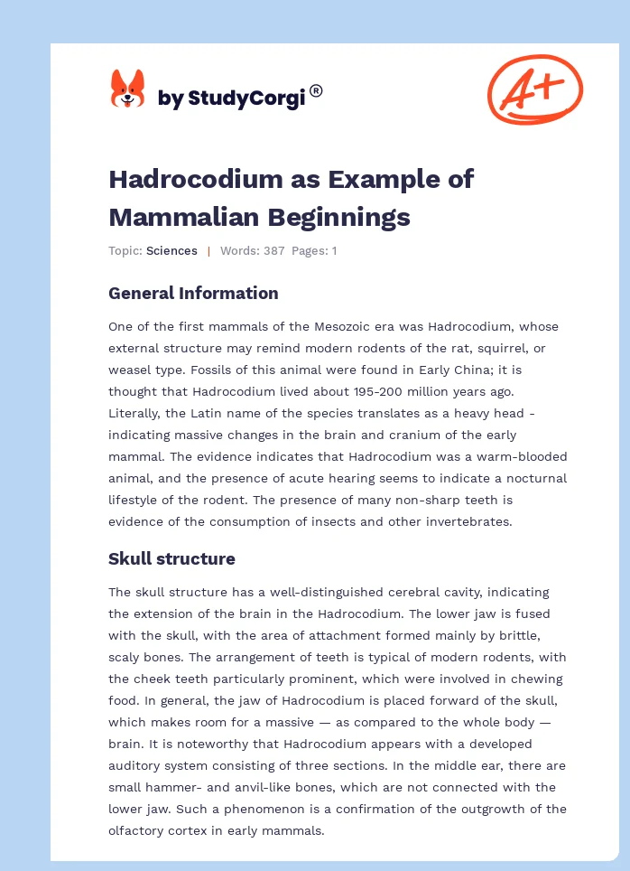 Hadrocodium as Example of Mammalian Beginnings. Page 1