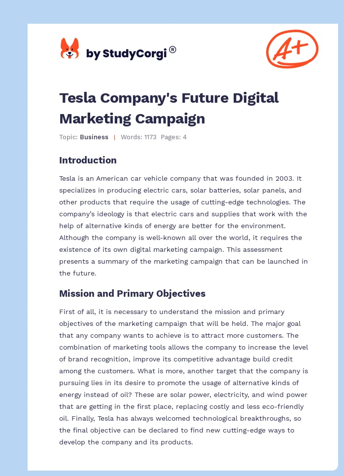 Tesla Company's Future Digital Marketing Campaign. Page 1