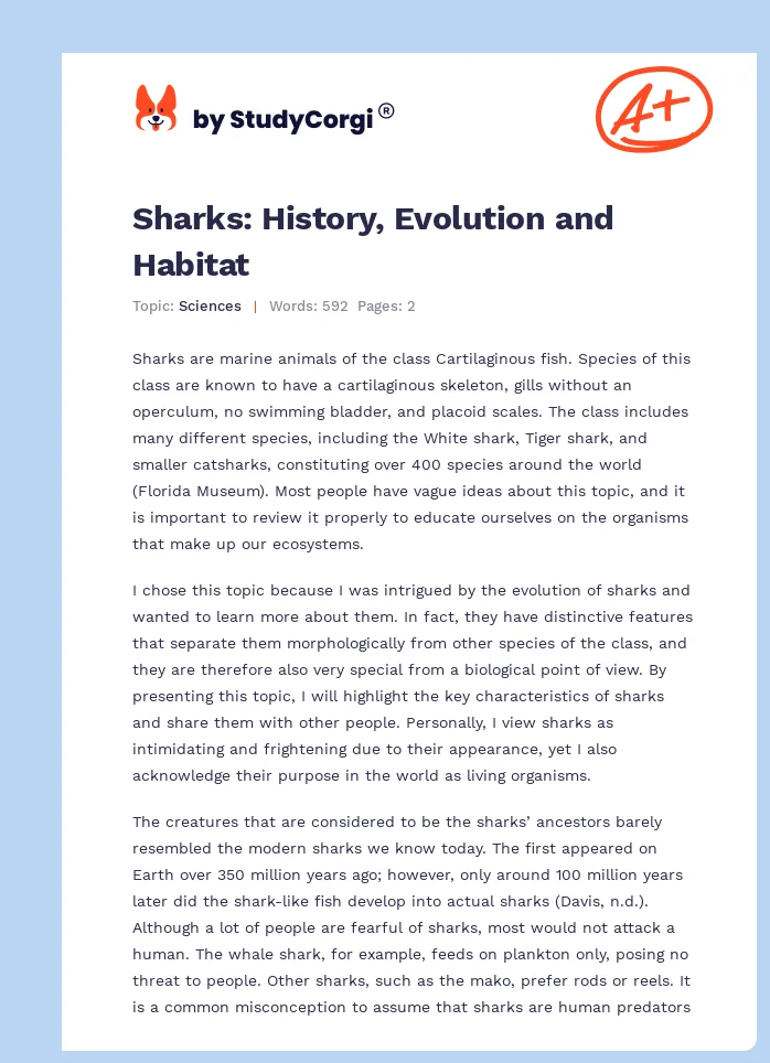 Sharks: History, Evolution and Habitat. Page 1