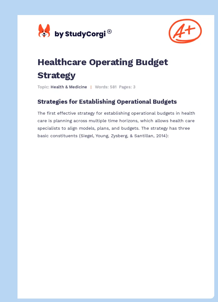 Healthcare Operating Budget Strategy. Page 1