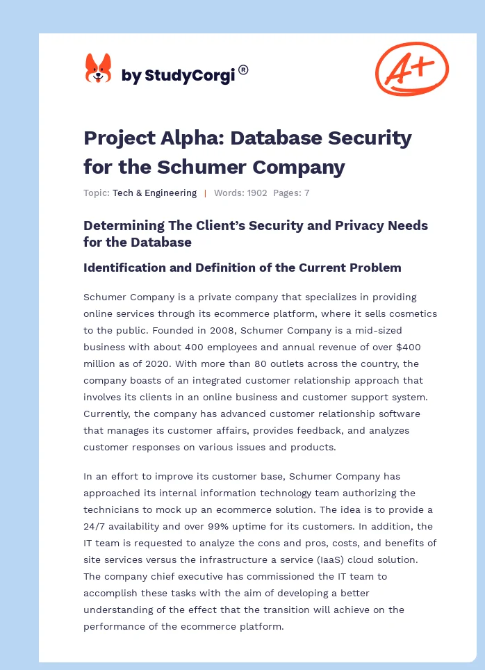 Project Alpha: Database Security for the Schumer Company. Page 1
