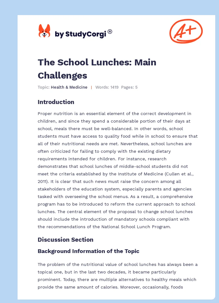 The School Lunches: Main Challenges. Page 1