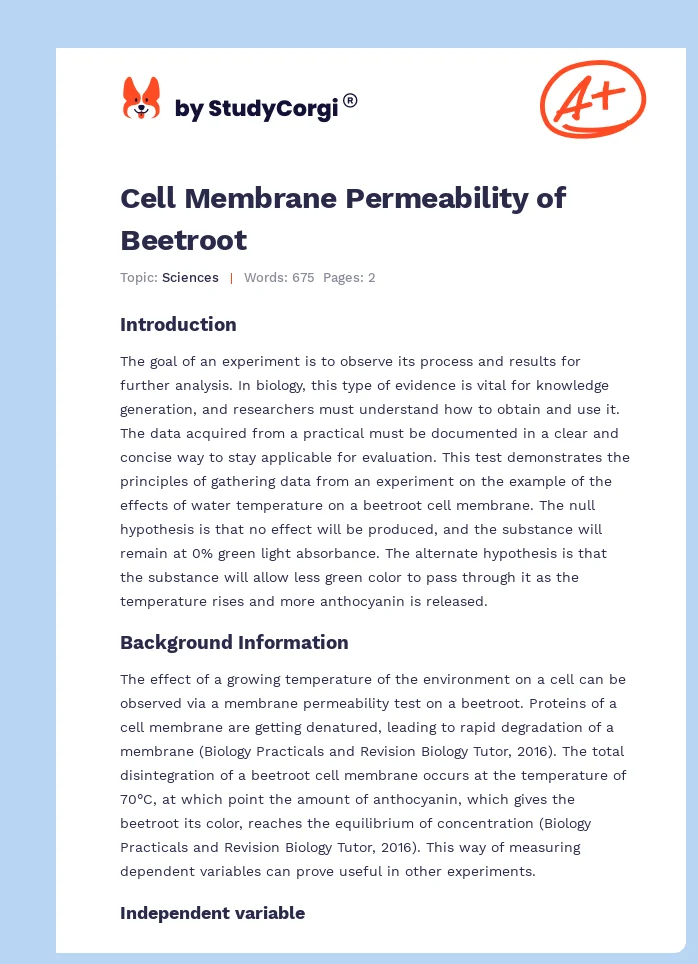 Cell Membrane Permeability of Beetroot. Page 1