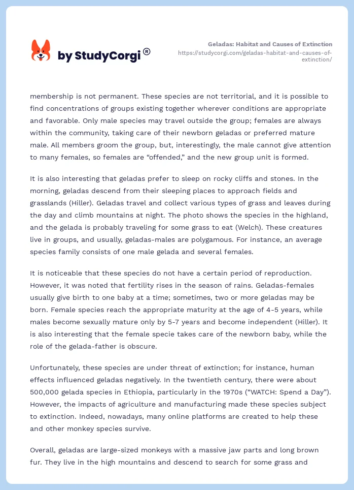 Geladas: Habitat and Causes of Extinction. Page 2