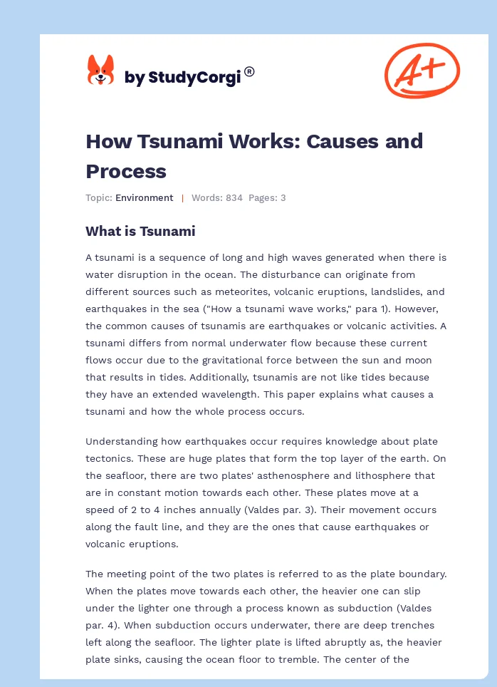 essay on causes of tsunami