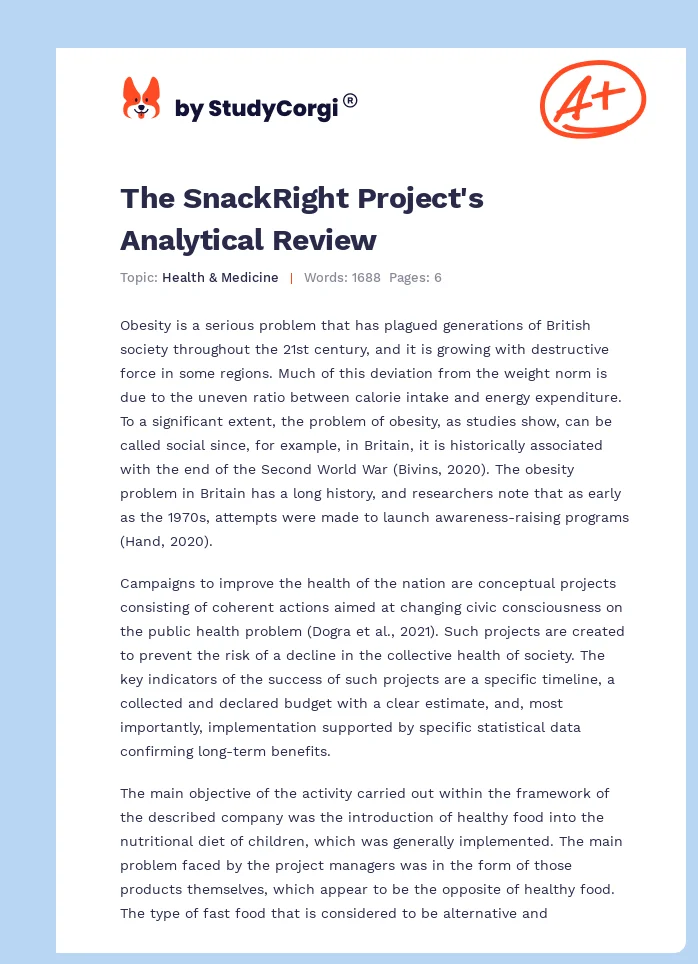 The SnackRight Project's Analytical Review. Page 1