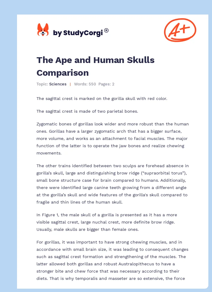 The Ape and Human Skulls Comparison. Page 1