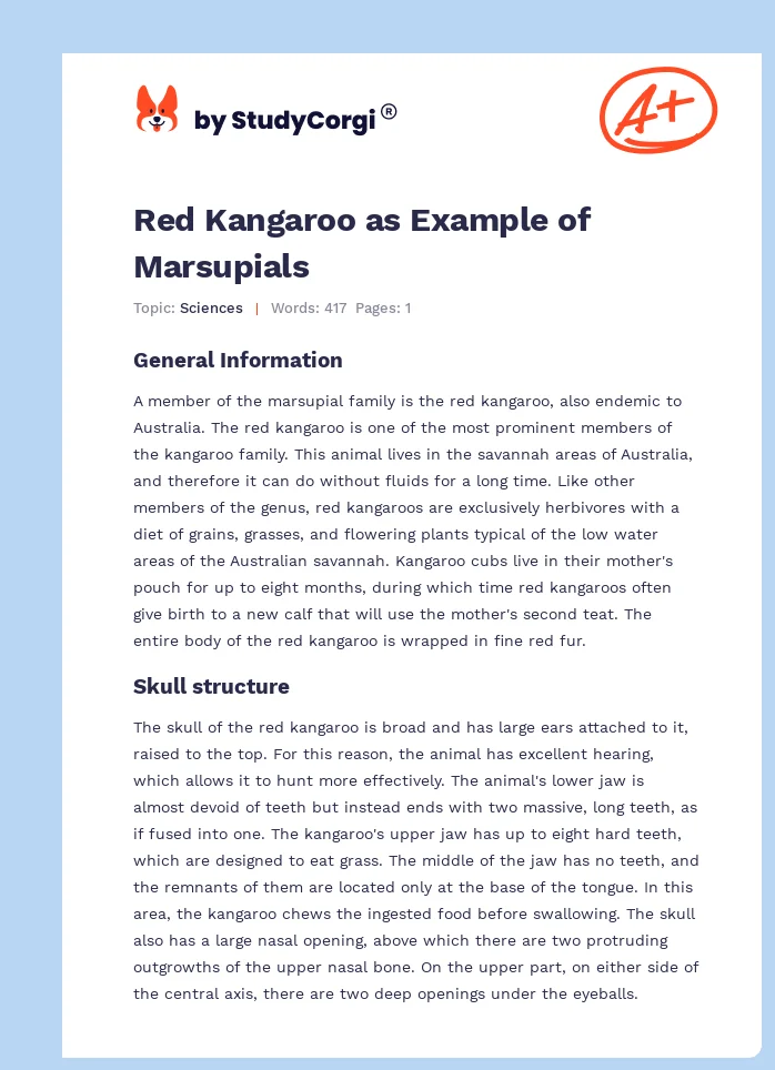 Red Kangaroo as Example of Marsupials. Page 1