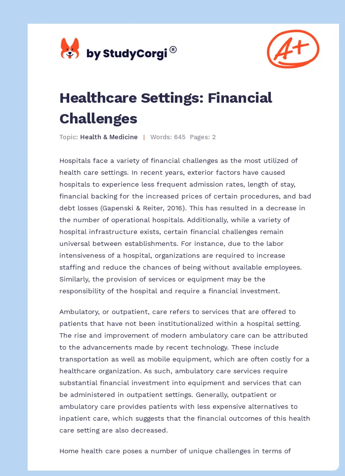 Healthcare Settings: Financial Challenges. Page 1