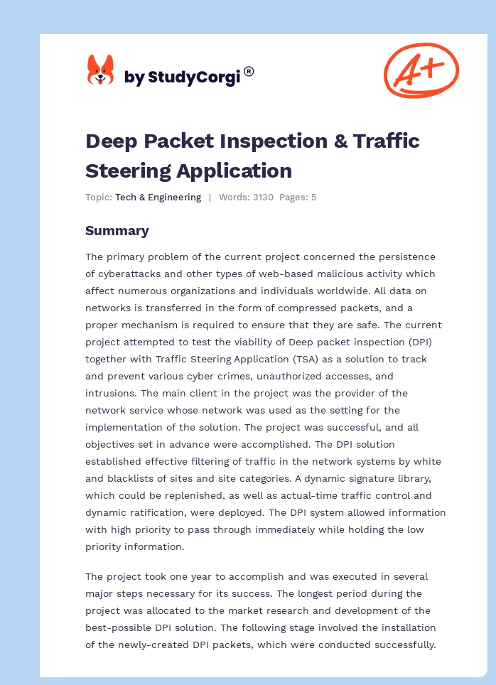 Deep Packet Inspection & Traffic Steering Application. Page 1