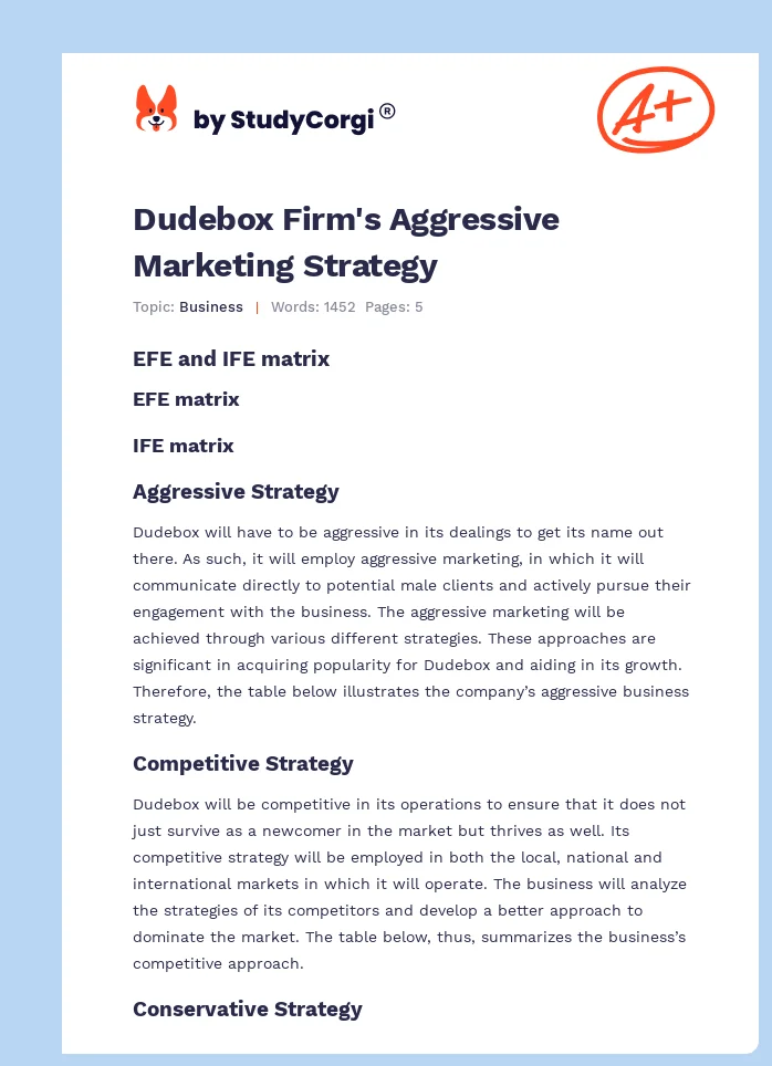 Dudebox Firm's Aggressive Marketing Strategy. Page 1