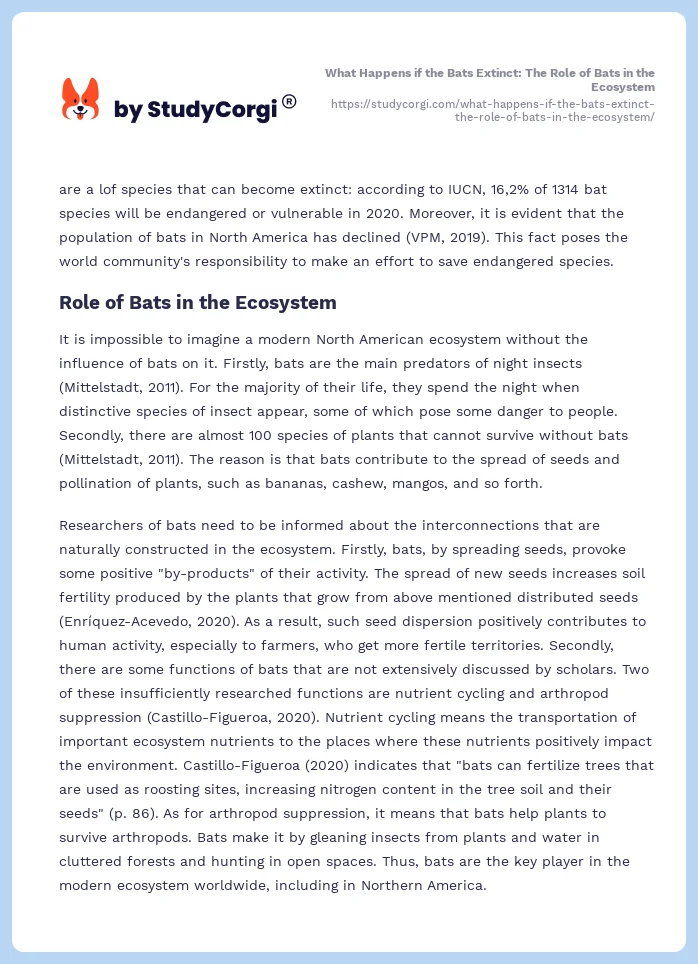 What Happens if the Bats Extinct: The Role of Bats in the Ecosystem. Page 2
