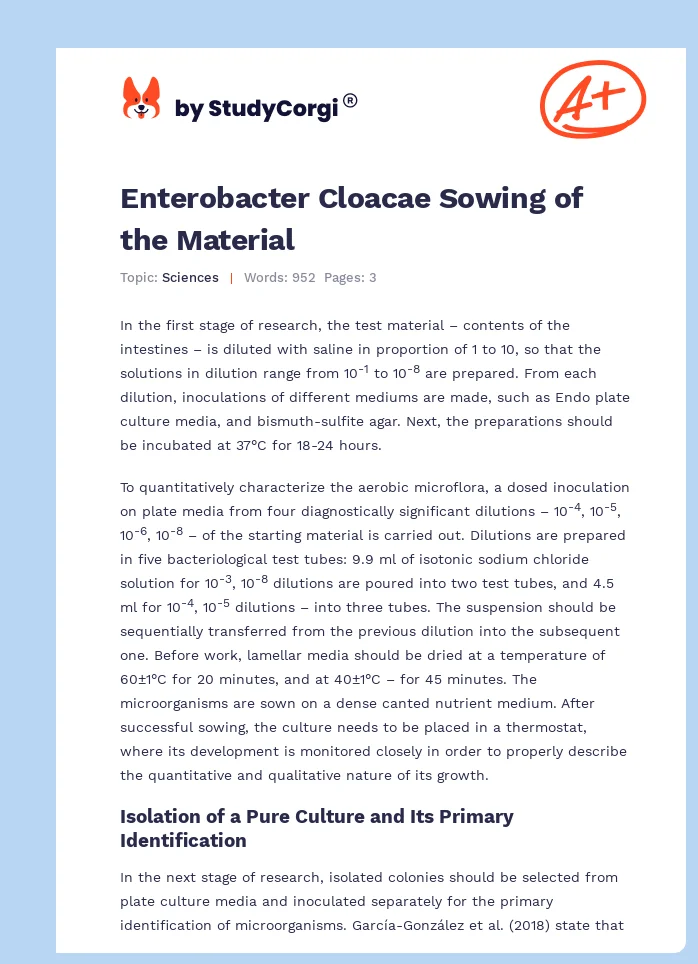 Enterobacter Cloacae Sowing of the Material. Page 1
