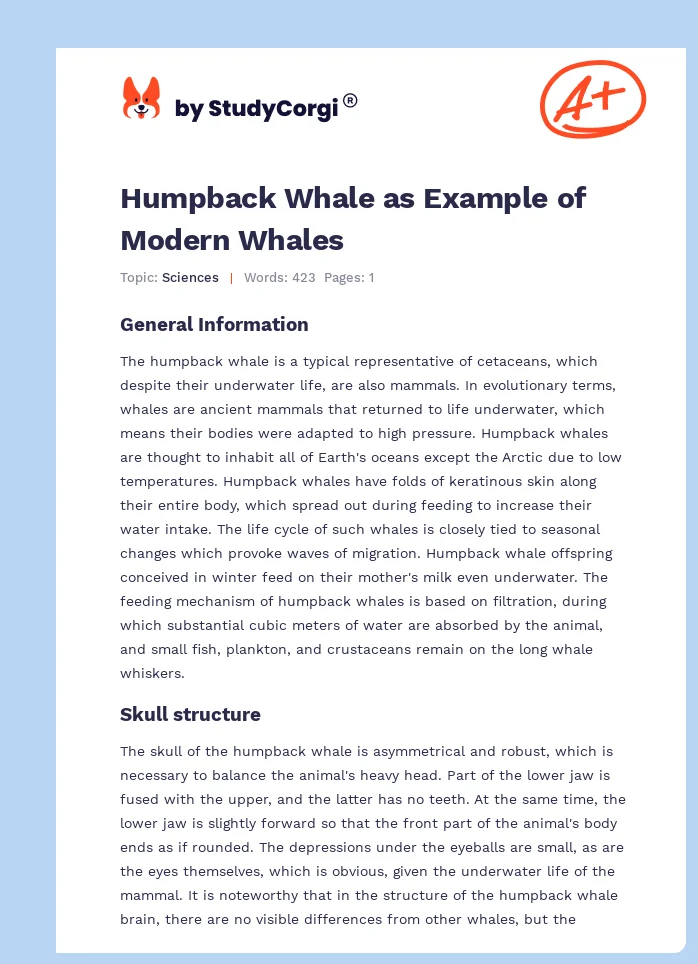 Humpback Whale as Example of Modern Whales. Page 1