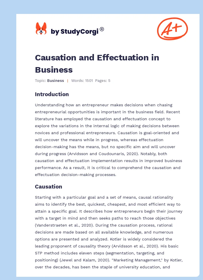 Causation and Effectuation in Business. Page 1