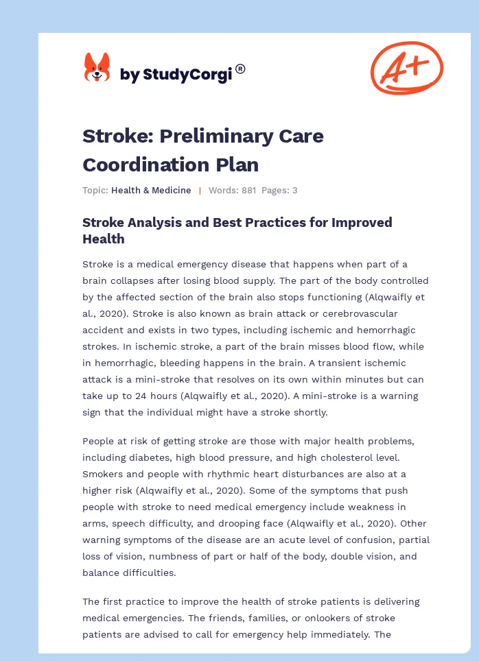 Stroke: Preliminary Care Coordination Plan. Page 1