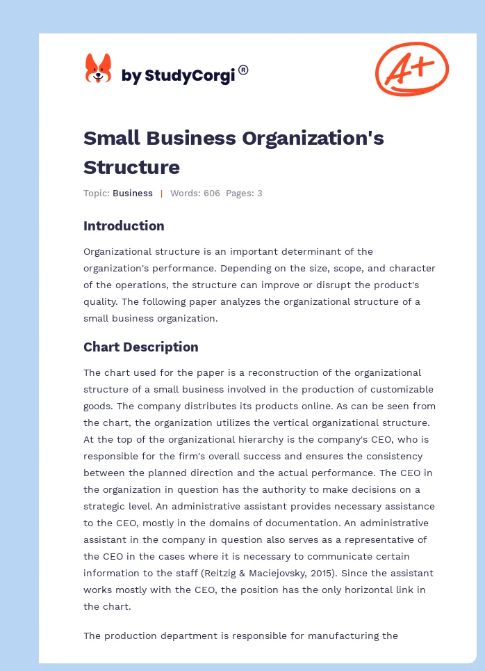 Small Business Organization's Structure. Page 1