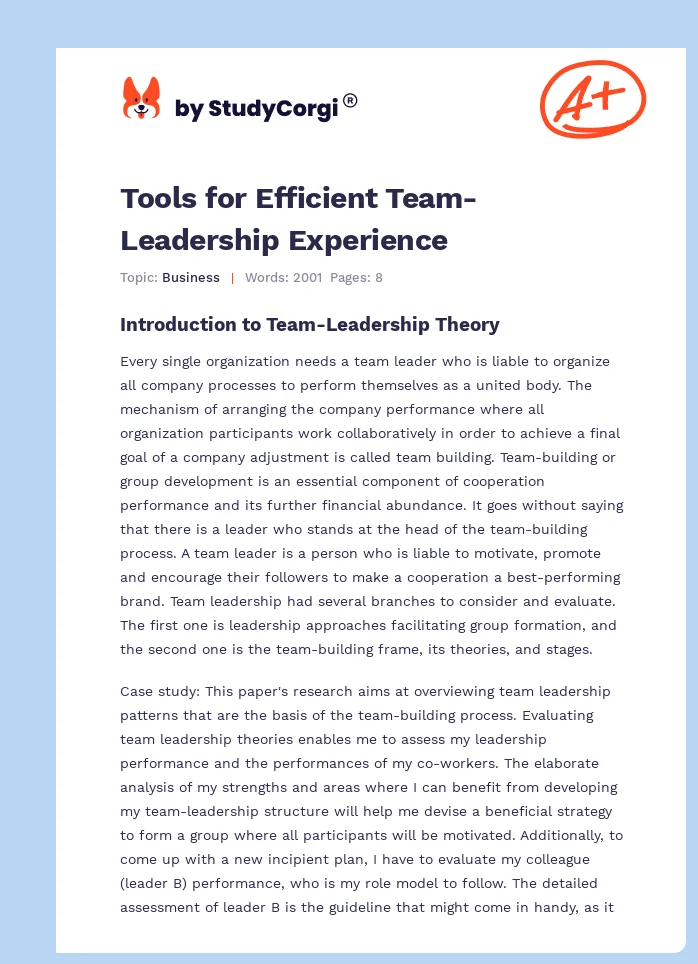 Tools for Efficient Team-Leadership Experience. Page 1