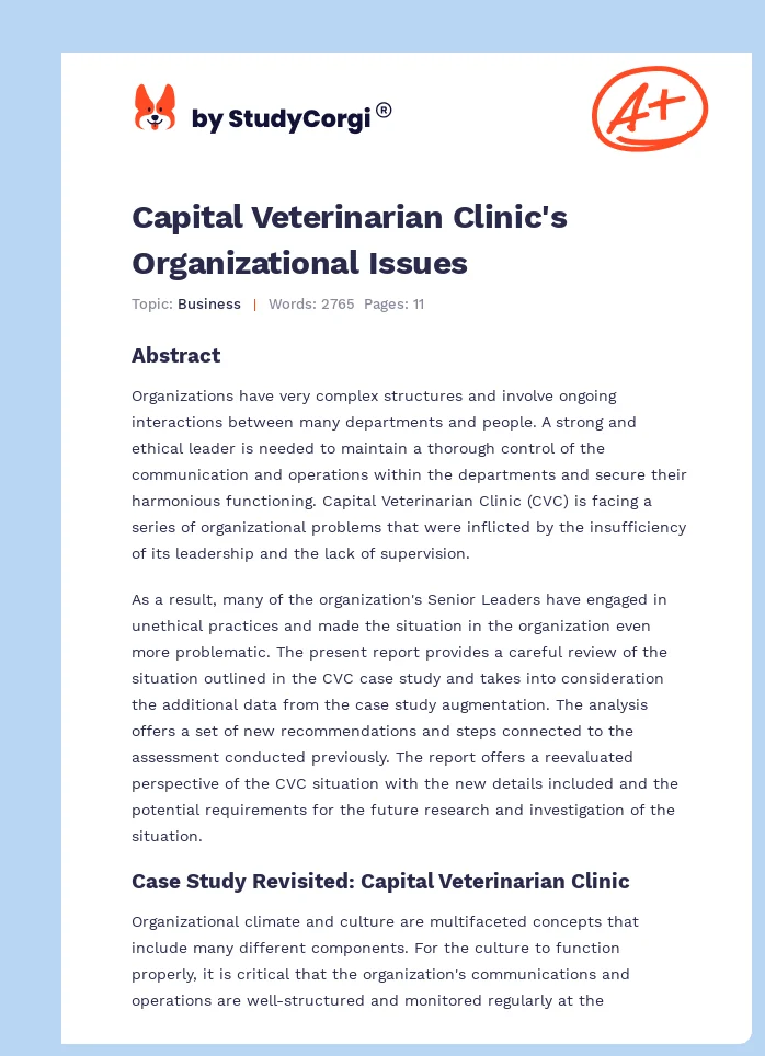 Capital Veterinarian Clinic's Organizational Issues. Page 1