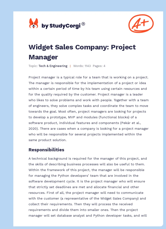 Widget Sales Company: Project Manager. Page 1
