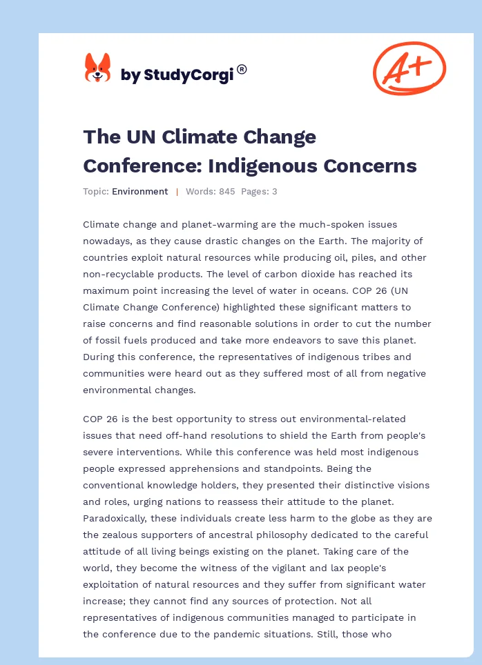 The UN Climate Change Conference: Indigenous Concerns. Page 1